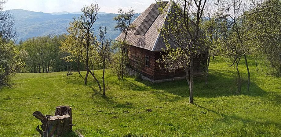 Case, terenuri și domenii de vânzare în Țara Moților, din Munții Apuseni